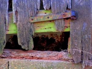 Featured image for 4408267120_50a5540920_old-hinge1-300x225.jpg