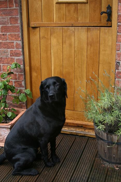 Featured image for IMG_8094_OPT.jpg