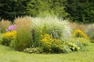 Featured image for botanical-garden-413489_1920-300x199.jpg