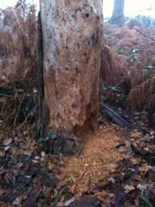 Featured image for photo11-225x300.jpg