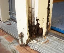 Featured image for rot.jpg