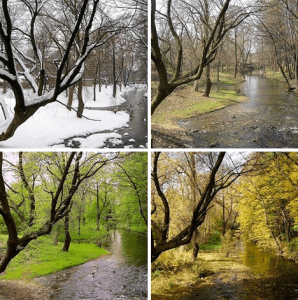 Featured image for seasons-changing-3-298x300.png