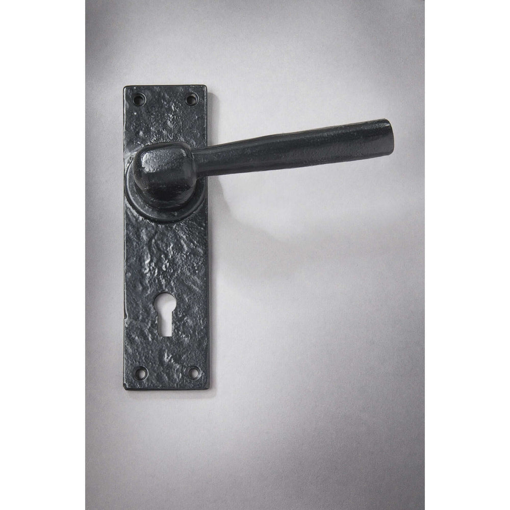 Product Pembroke sprung lever handle