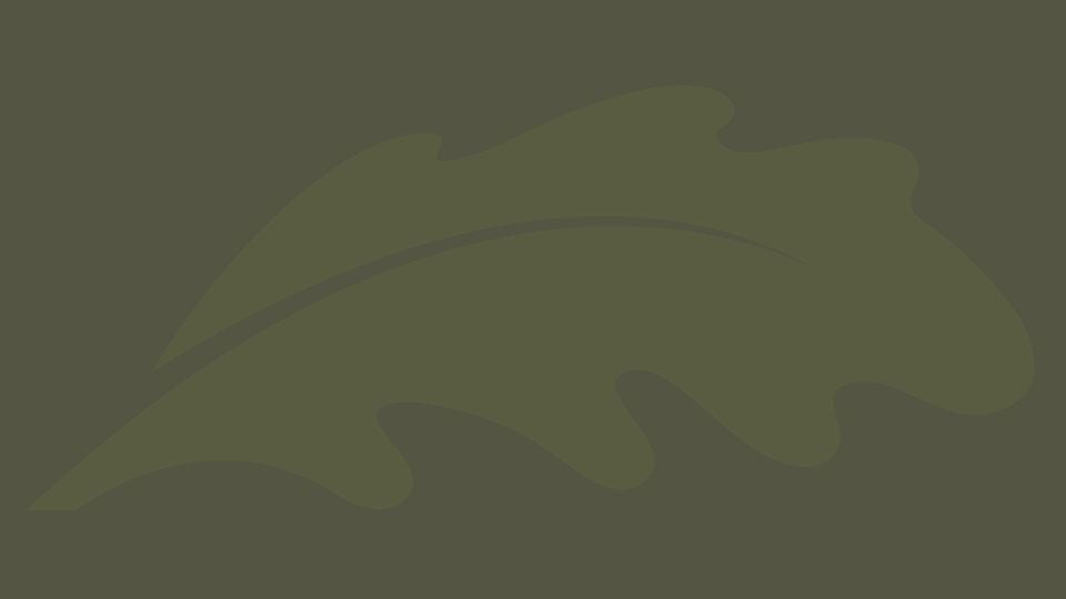 UK Oak Doors Leaf Logo