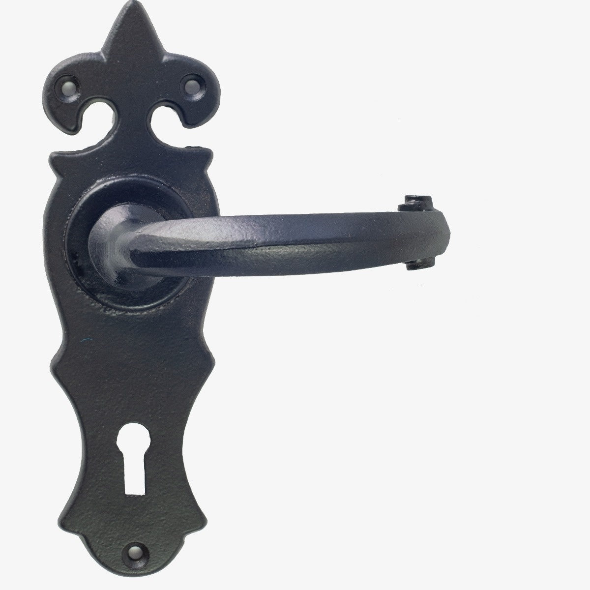 External Warwick Powder Coated Lever Handle