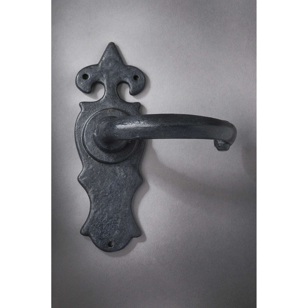 Product Warwick sprung lever handle for doors